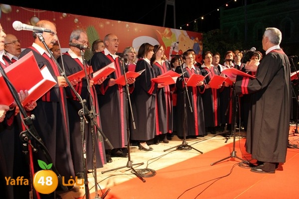 tree light 1208 (73).JPG